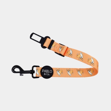 Ceinture de sécurité pour chien Pablo & Co - Corgi