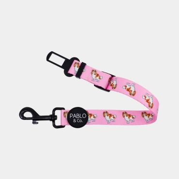 Ceinture de sécurité pour chien Pablo & Co - Cavalier King Charles