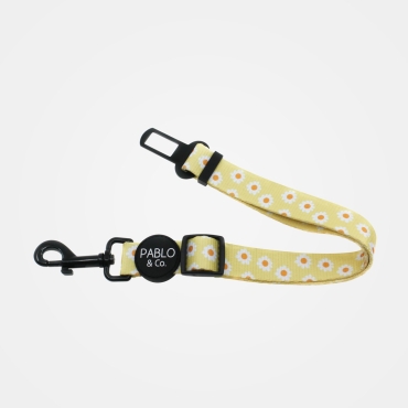 Ceinture de sécurité pour chien Pablo & Co - Marguerites