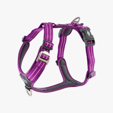 Harnais Dog Copenhagen Comfort Walk Air Violet - Le Maître des Lieux