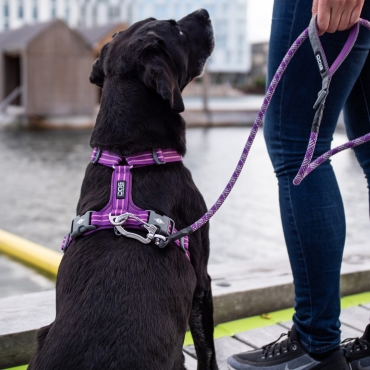 Harnais Dog Copenhagen Comfort Walk Air Violet - Le Maître des Lieux