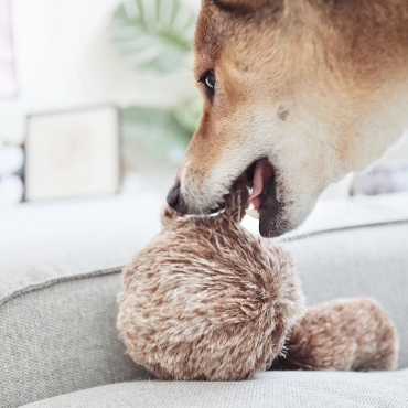 Peluche de fouille Squirrel Pop - Lambwolf Collective - 2 tailles