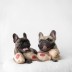Peluche de fouille Pizza - Lambwolf Collective