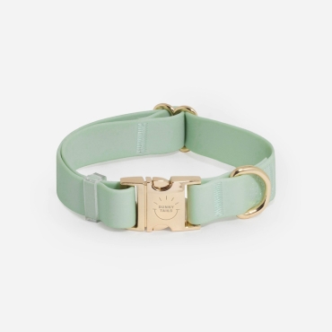 Collier imperméable Shop Sunny Tails - pistache