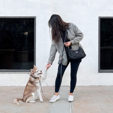 Distributeur de sacs à déjections - Shop Sunny Tails - noir