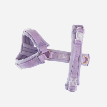 Nouveau Harnais Furlou Comfort - Lavande