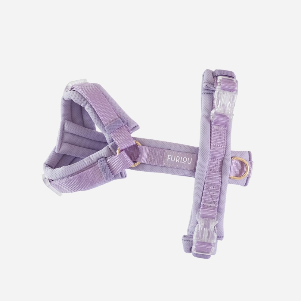 Nouveau Harnais Furlou Comfort - Lavande Nouveau Harnais Furlou Comfort - Lavande