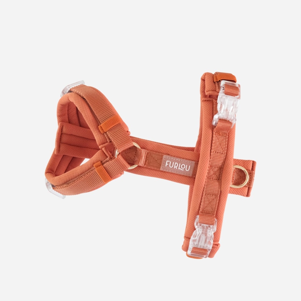 Nouveau Harnais Furlou Comfort - Terracotta Nouveau Harnais Furlou Comfort - Terracotta