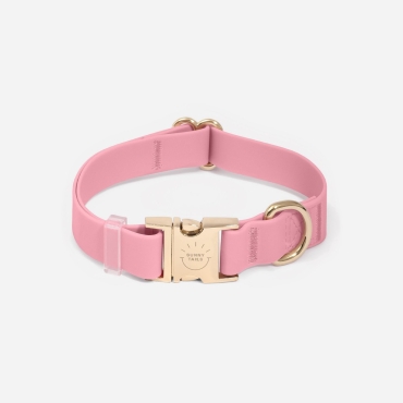 Collier imperméable Shop Sunny Tails - rose poudré