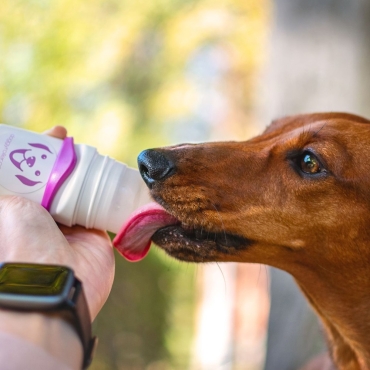 Doggyroller avec mousqueton - Roll-on distributeur de friandises liquides - rose