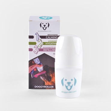 Doggyroller simple - Roll-on distributeur de friandises liquides - turquoise
