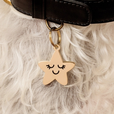 Médaille pour chien Smiling Star - Two Tails Pet Company - le Maître des Lieux