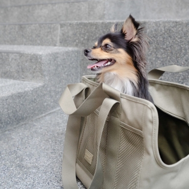 Sac de transport Subway pour petit chien - Lambwolf Collective - le Maître des Lieux