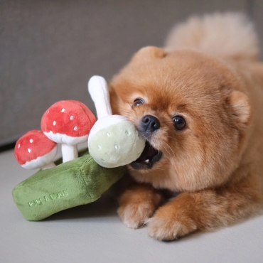 Peluche de Fouille Forêt de champignons - Pups and Bubs - le Maître des Lieux