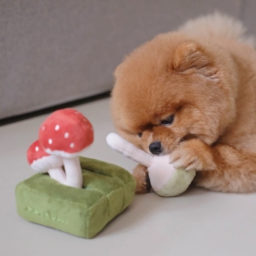 Peluche de Fouille Forêt de champignons - Pups and Bubs - le Maître des Lieux