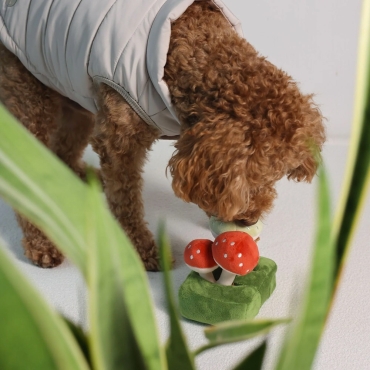 Peluche de Fouille Forêt de champignons - Pups and Bubs - le Maître des Lieux