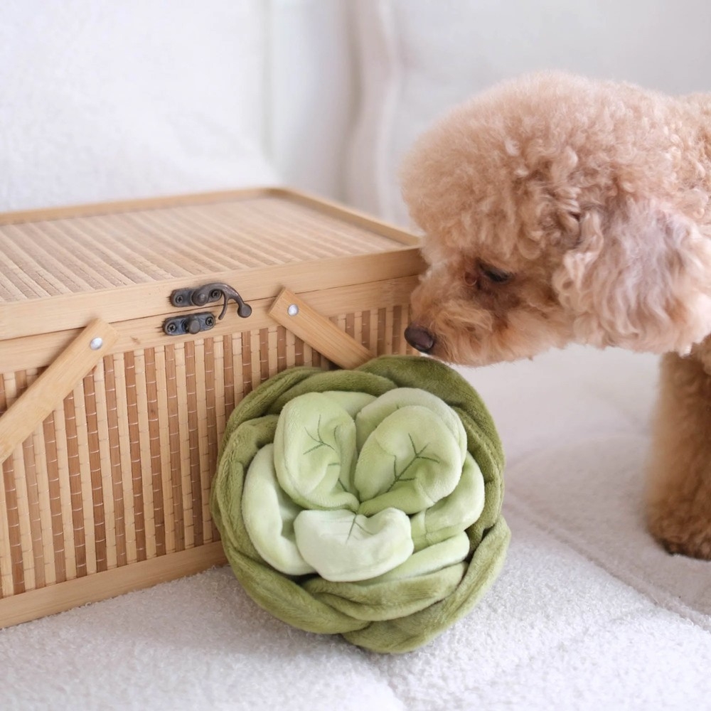 Peluche de Fouille Chou vert - Pups and Bubs - le Maître des Lieux Peluche de Fouille Chou vert - Pups and Bubs - le Maître des Lieux