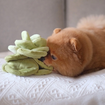 Peluche de Fouille Chou vert - Pups and Bubs - le Maître des Lieux