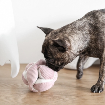Peluche de fouille Monti Small rose bonne mine - Lambwolf Collective - le Maître des Lieux
