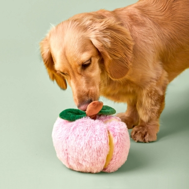 Jouet interactif Pomme Pink Lady – The Foggy Dog - le Maître des Lieux