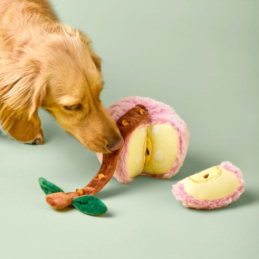 Jouet interactif Pomme Pink Lady – The Foggy Dog - le Maître des Lieux