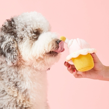 Jouet interactif Cupcake d’anniversaire – The Foggy Dog - le Maître des Lieux