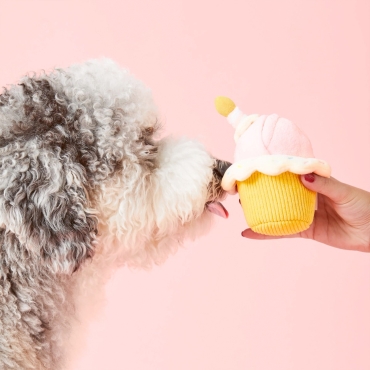 Jouet interactif Cupcake d’anniversaire – The Foggy Dog - le Maître des Lieux