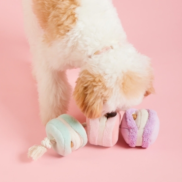 Jouet interactif Macarons – The Foggy Dog - le Maître des Lieux