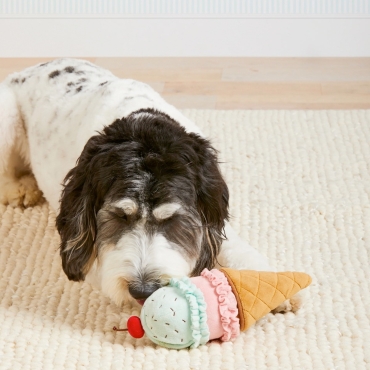Jouet interactif Glace 2 boules – The Foggy Dog - le Maître des Lieux