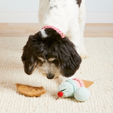 Jouet interactif Glace 2 boules – The Foggy Dog - le Maître des Lieux