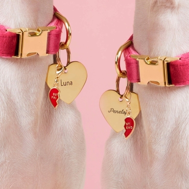 Duo de Charms Coeur BFF The Foggy Dog pour collier ou médaille - le Maître des Lieux