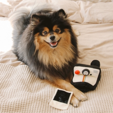 Peluche de fouille Polaroïd - Lambwolf Collective - le Maître des Lieux