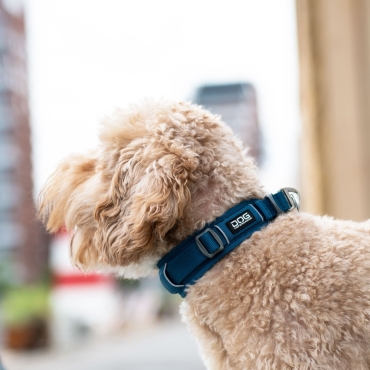 Collier Dog Copenhagen Urban Explorer Bleu - Le Maître des Lieux