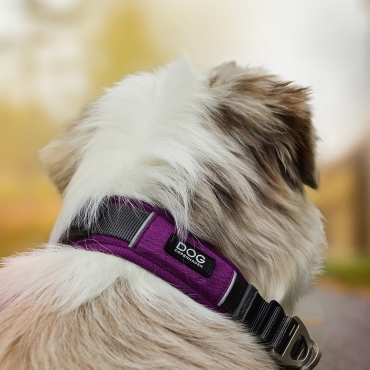 Collier Dog Copenhagen Urban Explorer Violet - Le Maître des Lieux