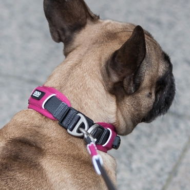 Collier Dog Copenhagen Urban Explorer Rose - Le Maître des Lieux