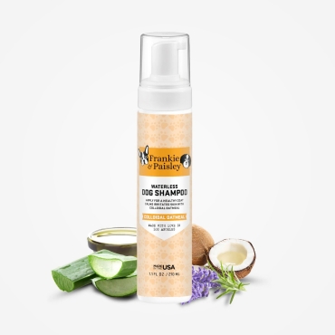 Mousse nettoyante sans rinçage pour chien à l'avoine colloïdale  - le Maître des Lieux