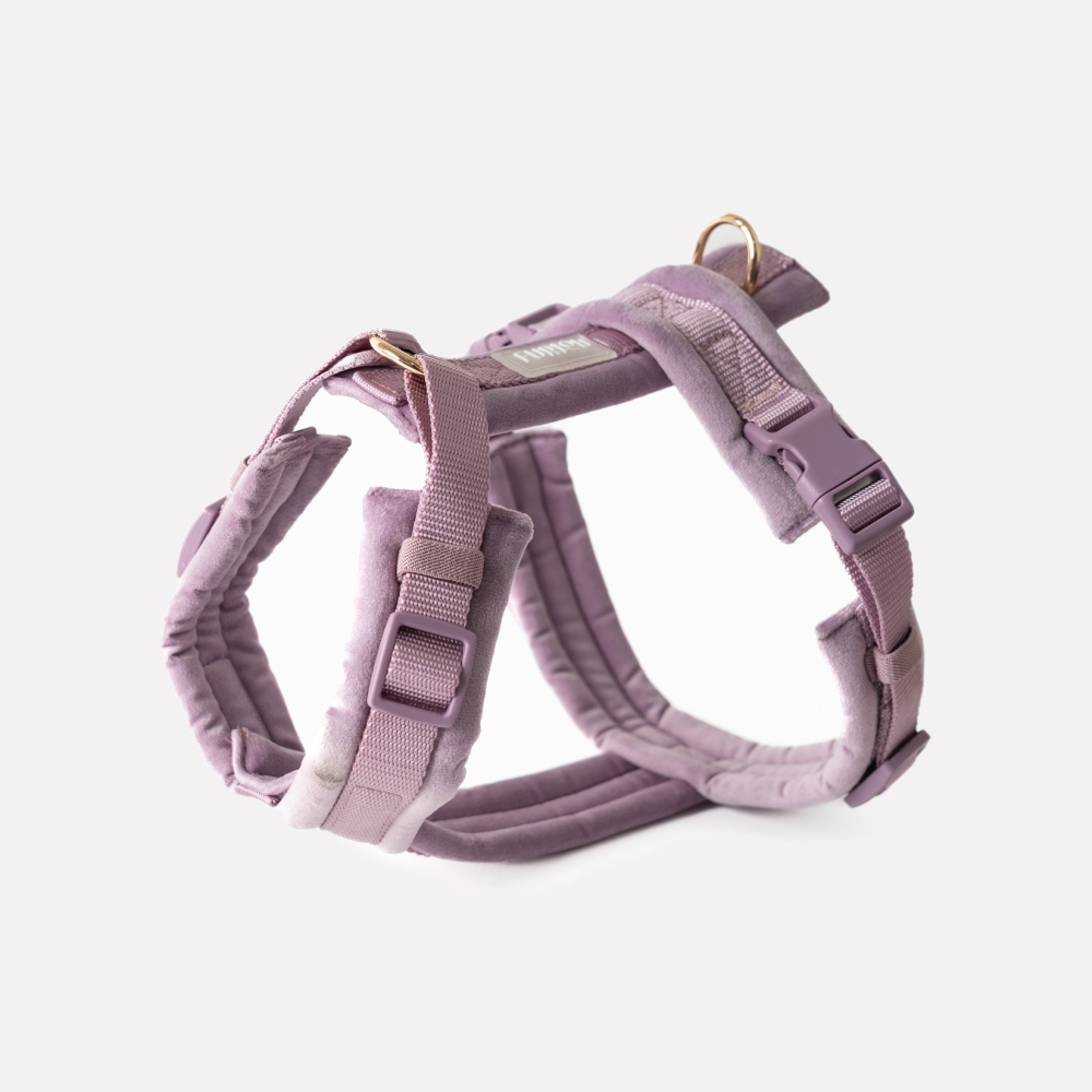 Nouveau Harnais Furlou - Velvet lilac - Velours lilas - Le Maître des Lieux Nouveau Harnais Furlou - Velvet lilac - Velours lilas - Le Maître des Lieux