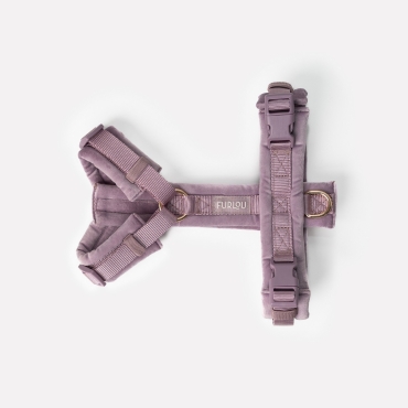 Nouveau Harnais Furlou - Velvet lilac - Velours lilas - Le Maître des Lieux