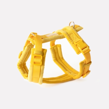 Nouveau Harnais Furlou - Velvet yellow - Velours jaune - Le Maître des Lieux