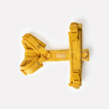 Nouveau Harnais Furlou - Velvet yellow - Velours jaune - Le Maître des Lieux