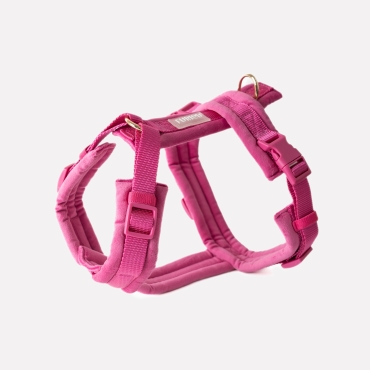 Nouveau Harnais Furlou - Velvet magenta - Velours magenta - Le Maître des Lieux