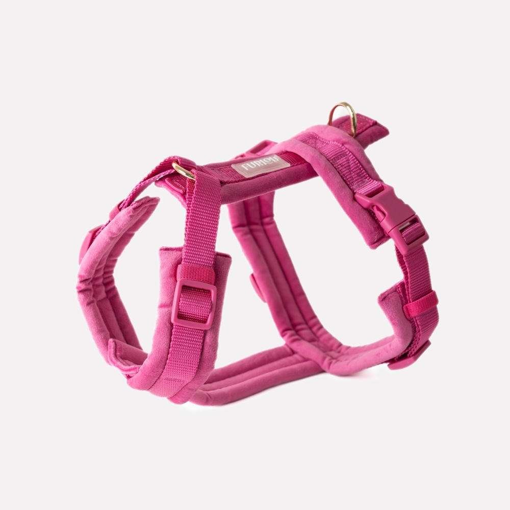 Nouveau Harnais Furlou - Velvet magenta - Velours magenta - Le Maître des Lieux Nouveau Harnais Furlou - Velvet magenta - Velours magenta - Le Maître des Lieux