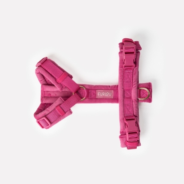 Nouveau Harnais Furlou - Velvet magenta - Velours magenta - Le Maître des Lieux