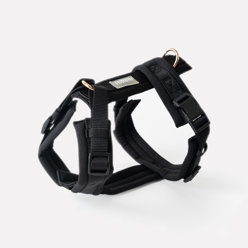 Nouveau Harnais Furlou - Comfort black - Confort noir - Le Maître des Lieux Nouveau Harnais Furlou - Comfort black - Confort noir - Le Maître des Lieux