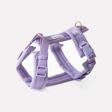 Nouveau Harnais Furlou - Comfort lavender - Confort lavande - Le Maître des Lieux