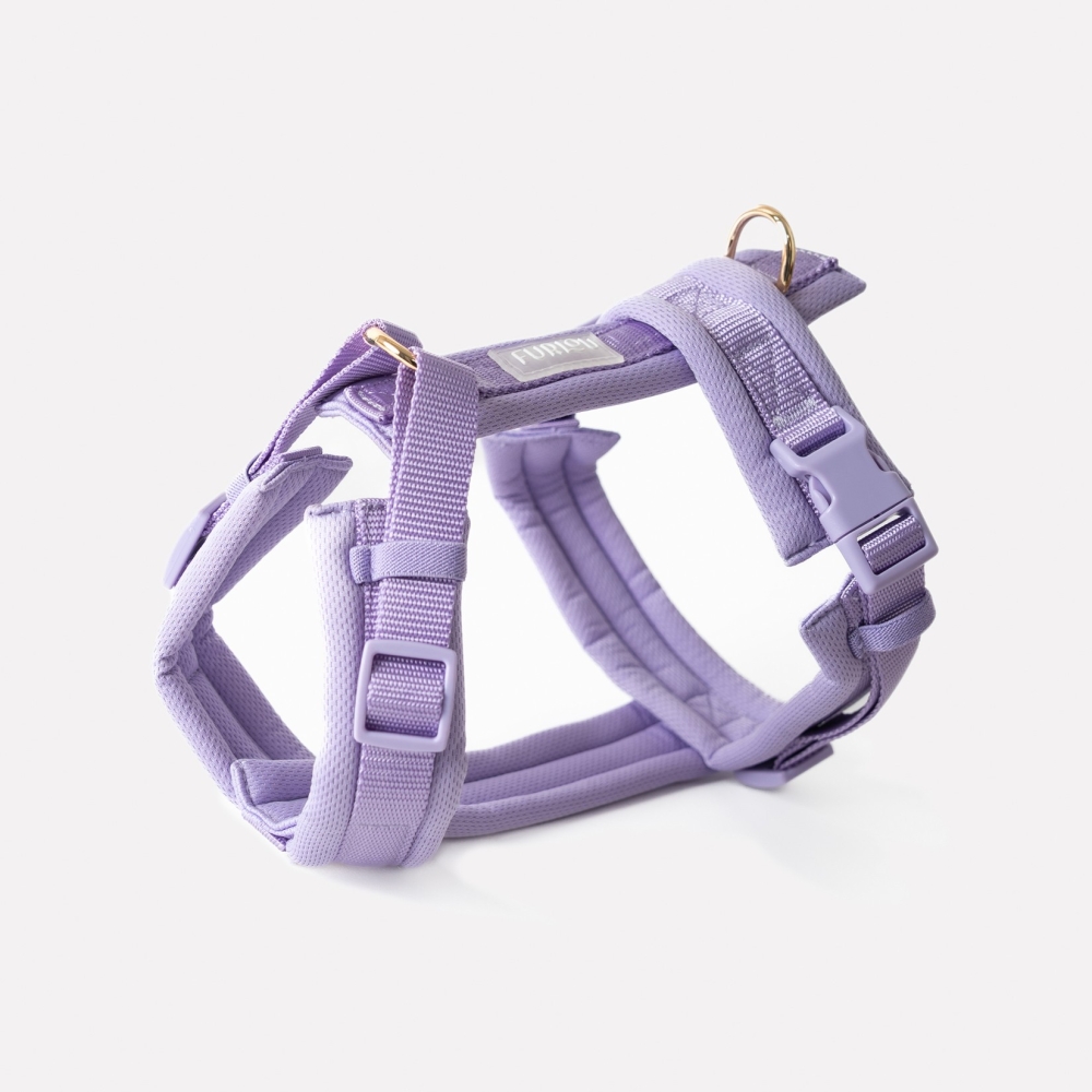 Nouveau Harnais Furlou - Comfort lavender - Confort lavande - Le Maître des Lieux Nouveau Harnais Furlou - Comfort lavender - Confort lavande - Le Maître des Lieux