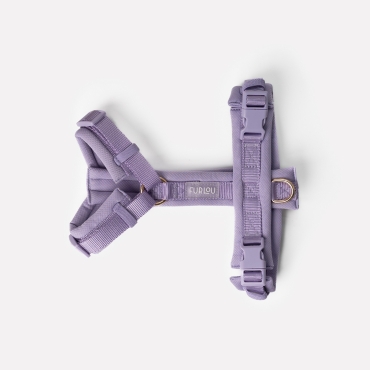 Nouveau Harnais Furlou - Comfort lavender - Confort lavande - Le Maître des Lieux