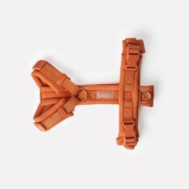 Nouveau Harnais Furlou - Comfort terracotta - Confort terracotta - Le Maître des Lieux