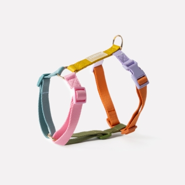 Nouveau Harnais Furlou - Strap rainbow - Sangles arc-en-ciel  - Le Maître des Lieux
