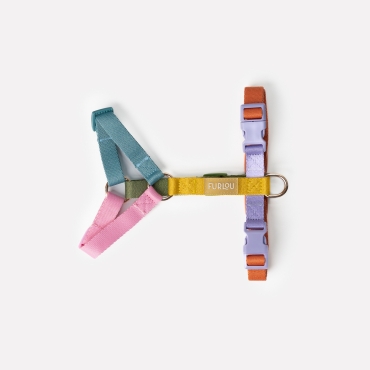 Nouveau Harnais Furlou - Strap rainbow - Sangles arc-en-ciel  - Le Maître des Lieux